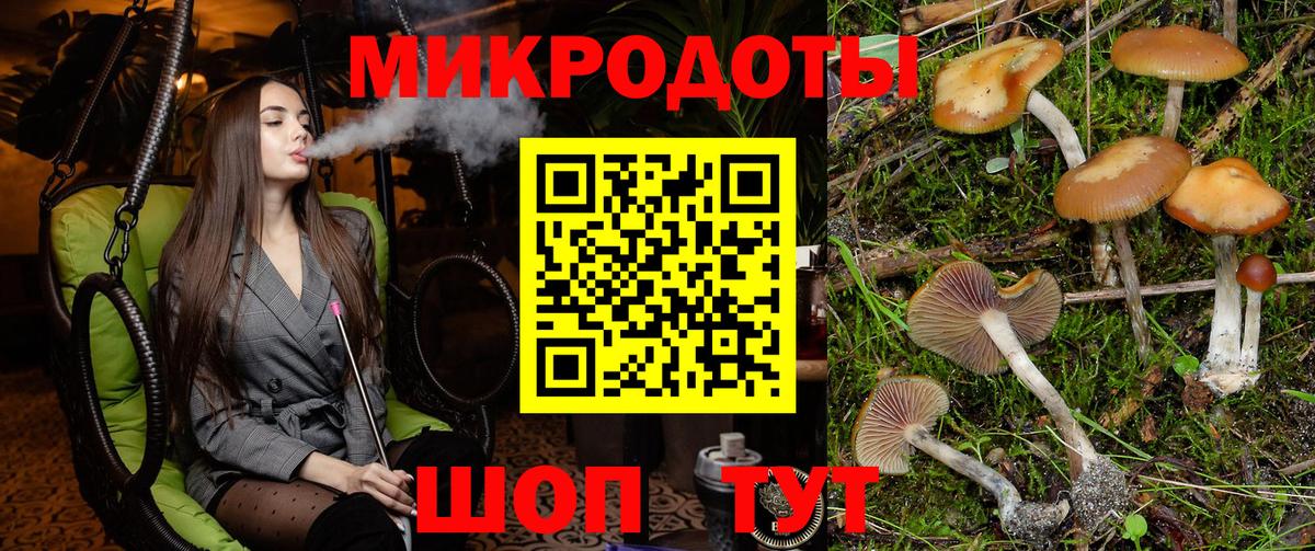 Галлюциногенные грибы прущие грибы  Вход с VPN  как найти закладки  Зеленодольск 